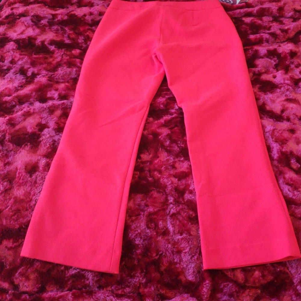 Express Pants - Picture 3 of 3